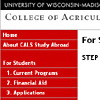 Study Abroad